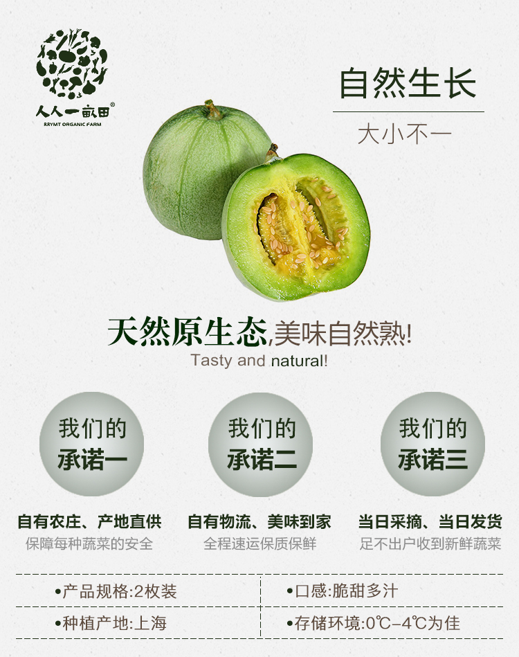 头茬绿宝石甜瓜(2枚装)-上海