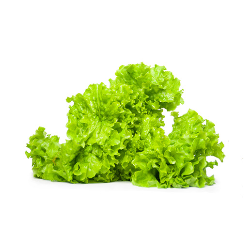 罗莎绿生菜200g上海